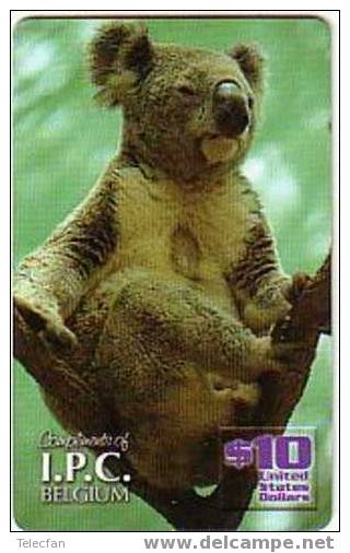 USA KOALA SUR SON ARBRE 10$ VERY RARE CARD SUPERBE 1000 EX NEUVE MINT - Jungle