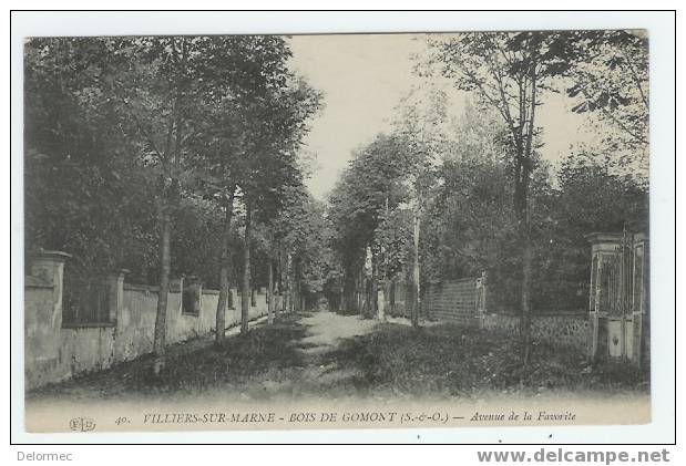 CPA 94 Val De Marne Villiers Bois De Gomont édit ELD N°40 écrite En 1914 Non Timbrée (FM) - Villiers Sur Marne