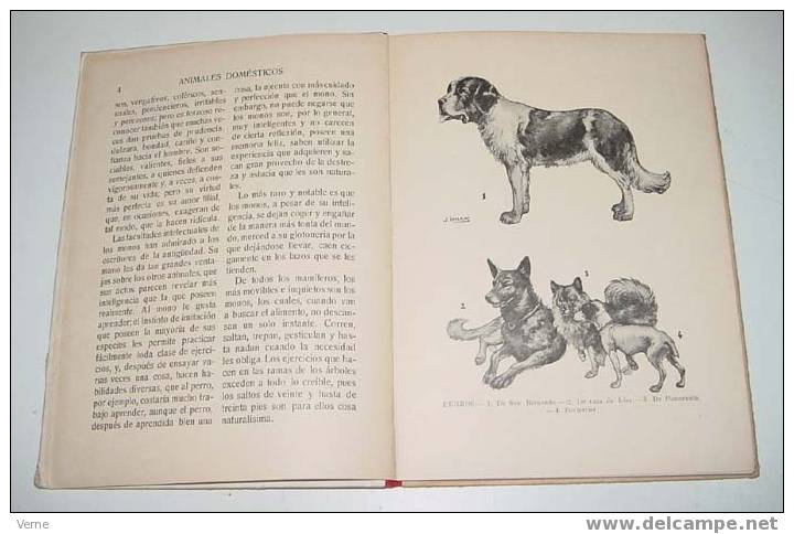 ANTIGUO CUENTO - ANIMALES DOMESTICOS - RAMON SOPENA - ILUSTRACIONES J. LLAVERIAS . 1939 . TEXTO GENARO DEL AGUILA - 58 P - Livres Pour Jeunes & Enfants