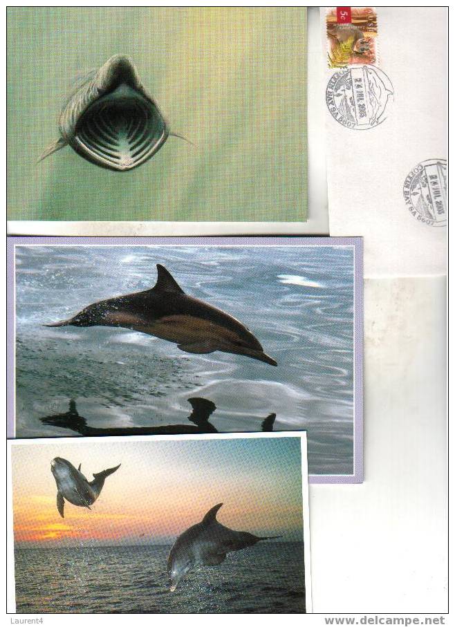 3 X Carte Et Enveloppe De Dauphin - 3 Dolphin Card And Covers + Balaine - Dolphins