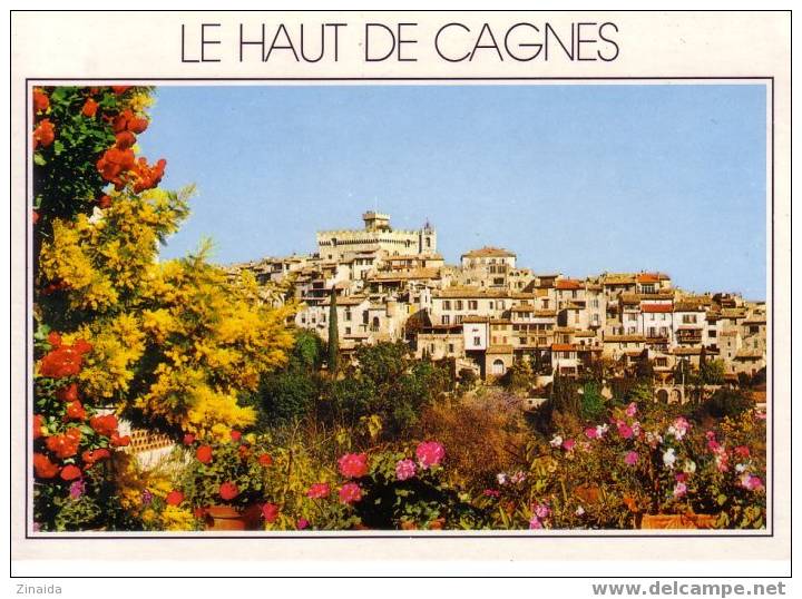 CARTE POSTALE DE CAGNES - LE HAUT DE CAGNES ET SON CHATEAU - Cagnes-sur-Mer