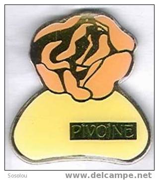 Pivoine - Parfums