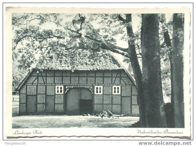 Lüneburger Heide. Niedersächs. Bauernhaus - S/w Foto Ak - (d 1186) - Farms