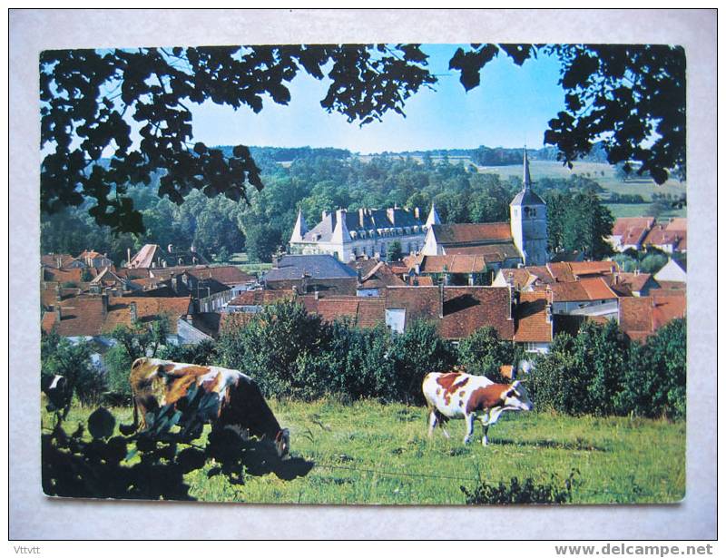 Arc-en-Barrois : Vue Prise De La Motte (vaches) - Arc En Barrois