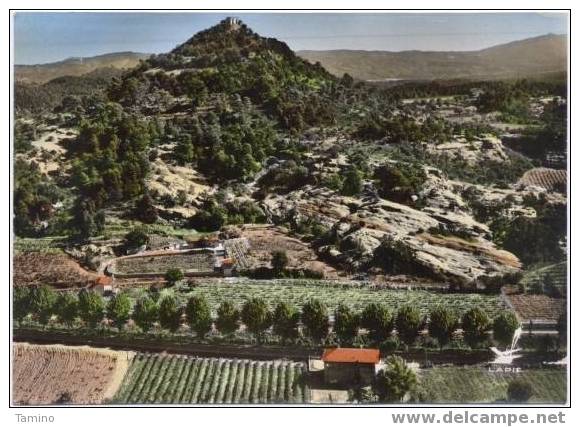 Vidauban. Chapelle Sainte-Brigitte. - Vidauban