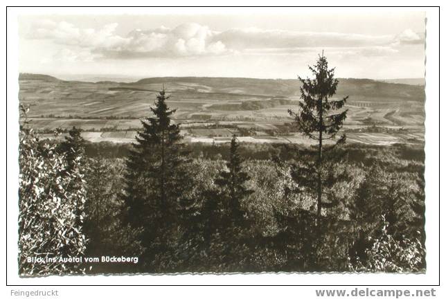 D 1189 - Blick Ins Auetal Vom Bückeberg -  S/w Foto Ak, ø Gel. - Schaumburg