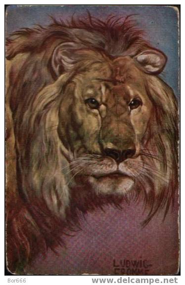 GOOD OLD ANIMALS POSTCARD - LION ( Ludwig Fromme ) Sendet 1929 - Lions