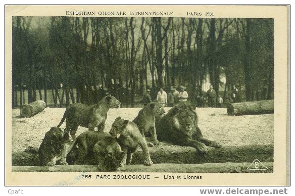 CPA LION ET LIONNES  JARDIN ZOOLOGIQUE EXPOSITION INTERNATIONALE PARIS 1931 - Leeuwen