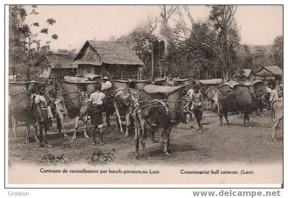 LAOS CARAVANE DE RAVITAILLEEMENT PAR BOEUFS PORTEURS COMMISSARIAT BULL CARAVAN - Laos