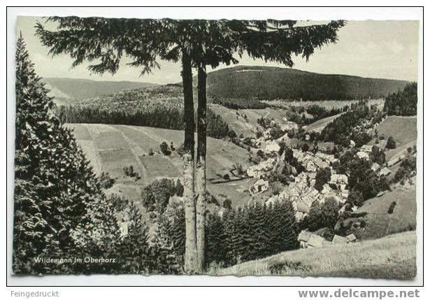 D 1208 - Wildemann Im Oberharz - S/w Foto Ak 1957, Nicht Gelaufen - Oberharz