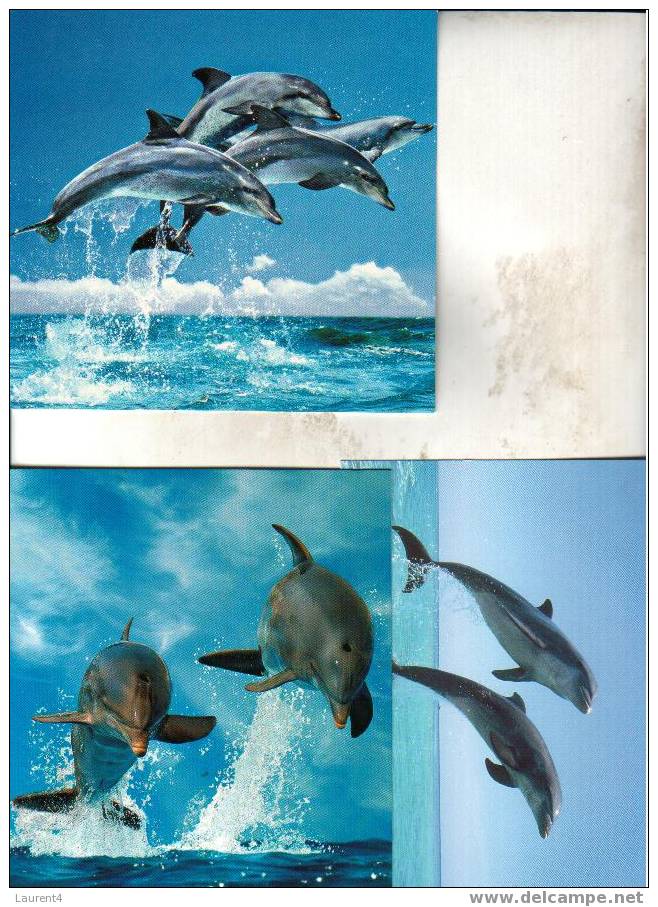 3 X Carte Postale De Dauphin + Timbres - 3 Dohpin Postcard + Dolphin Stamp - Delfines