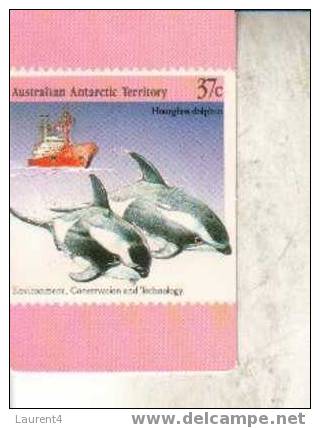 3 X Carte Postale De Dauphin + Timbres - 3 Dohpin Postcard + Dolphin Stamp - Dolphins