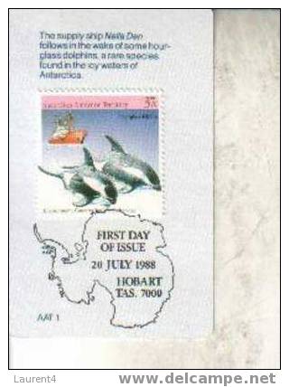 3 X Carte Postale De Dauphin + Timbres - 3 Dohpin Postcard + Dolphin Stamp - Dolfijnen