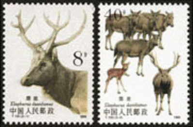 1988 CHINA T132 DEER  2V STAMP - Unused Stamps