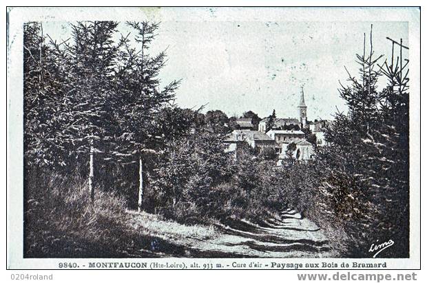 Montfaucon En Velay - Paysage De Bramard - Montfaucon En Velay