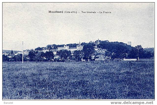 MONTBARD - Vue Générale. La Prairie - Montbard