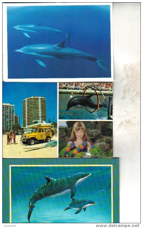 3 X Carte De Dauphin - 3 Dolphin Postcard - Delfini