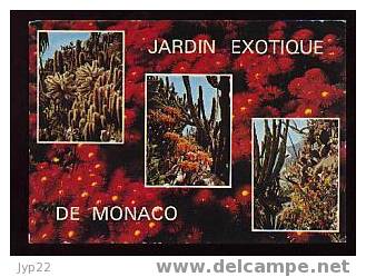 Jolie CP Jardin Exotique De La Principauté De Monaco - Au Dos Cachet Du Centenaire Du 1er Timbre Monégasque - Jardin Exotique