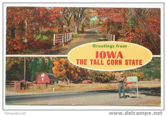 D 1445 - Iowa, The Tall Corn State - CAk, 1968 Gelaufen - Altri & Non Classificati