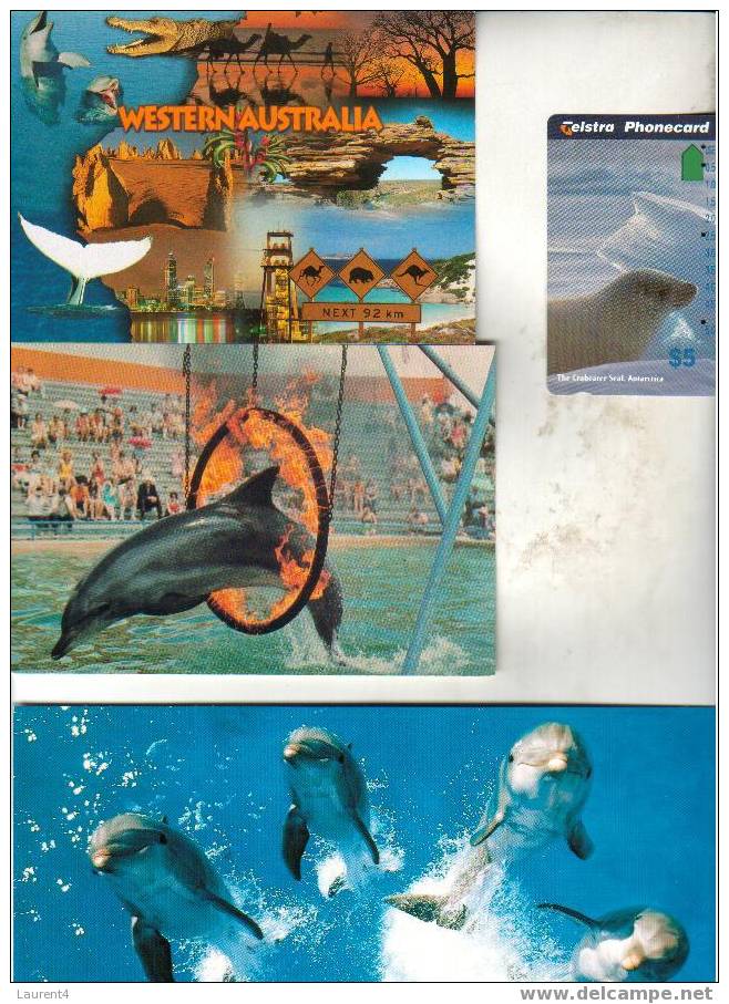 3 Carte Sur Les Dauphin - Balaine / 3 Card With Dolphin - Whale / BARGAIN PRICE - Dolphins