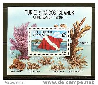 TURKS & CAICOS  Block Diving Flag  F2337 - Other & Unclassified