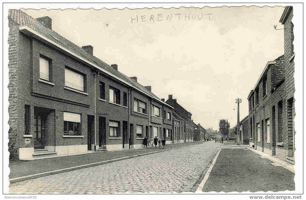 HERENTHOUT - ZWANENBERG - Herenthout