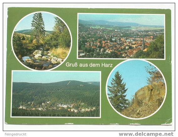 D 1613 - Gruß Aus Dem Harz (Krs. Wernigerode) - Color MBk, Gel. - Wernigerode