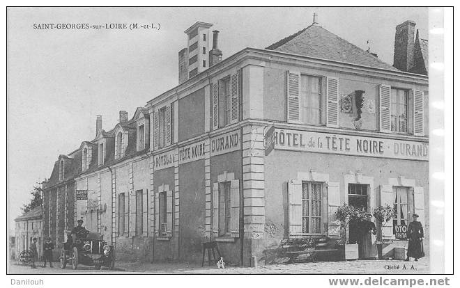 49 // MAINE ET LOIRE / ST GEORGES SUR LOIRE / Hotel De La Tête Noire / Cliché A.A. / ANIMEE - Saint Georges Sur Loire