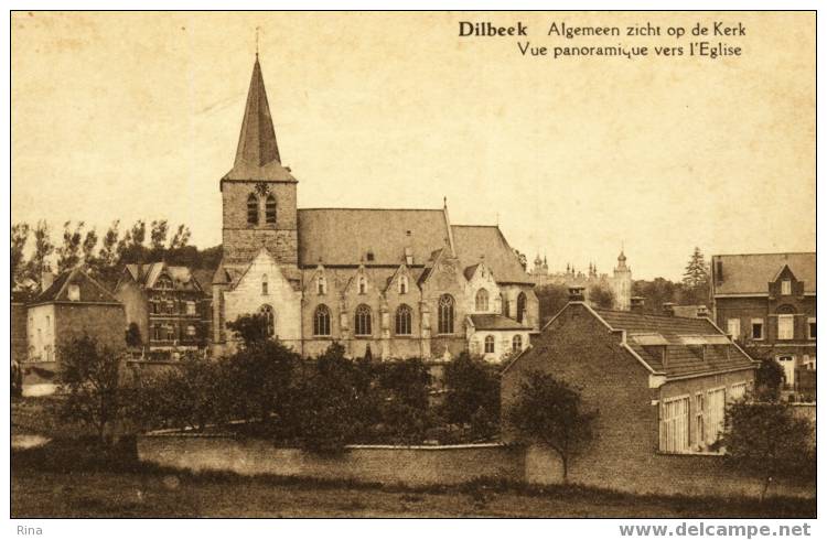 Dilbeek Algemeen Zicht Op De Kerk - Dilbeek