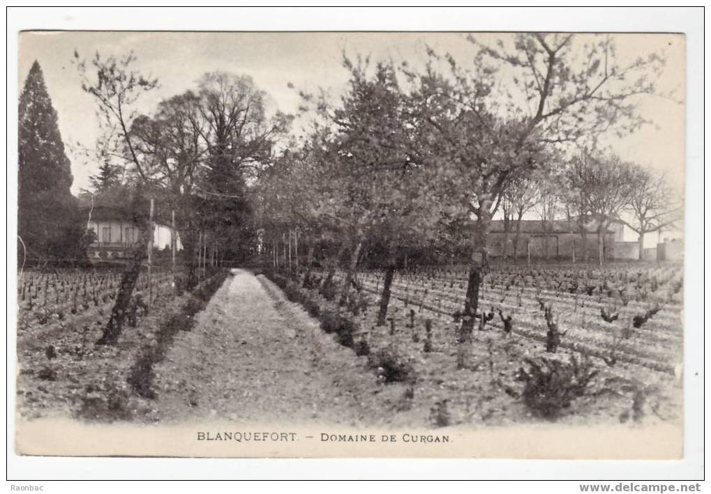 CPA--33---BLANQUEFORT---DOMAINE De CURGAN - Blanquefort