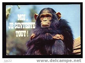 Jolie CP Humour Fantaisie Singe - Moi Je Conteste Tout ! - A Circulée - Singes