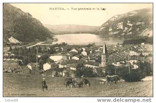 NANTUA VUE GENERALE ET LE LAC - Nantua