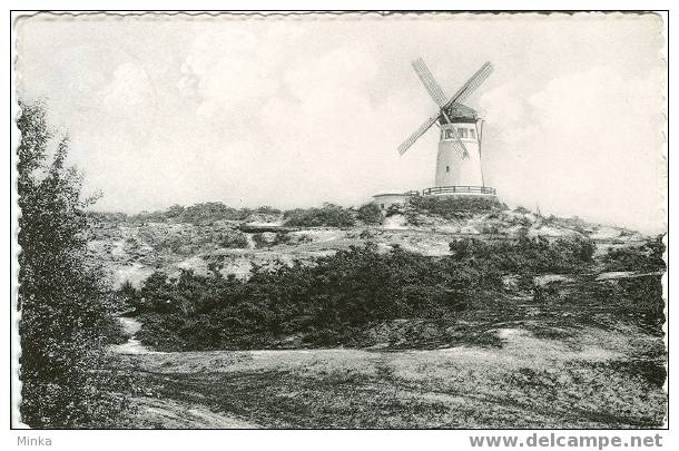 Koksijde - Baden :  De Blekker Molen - Koksijde