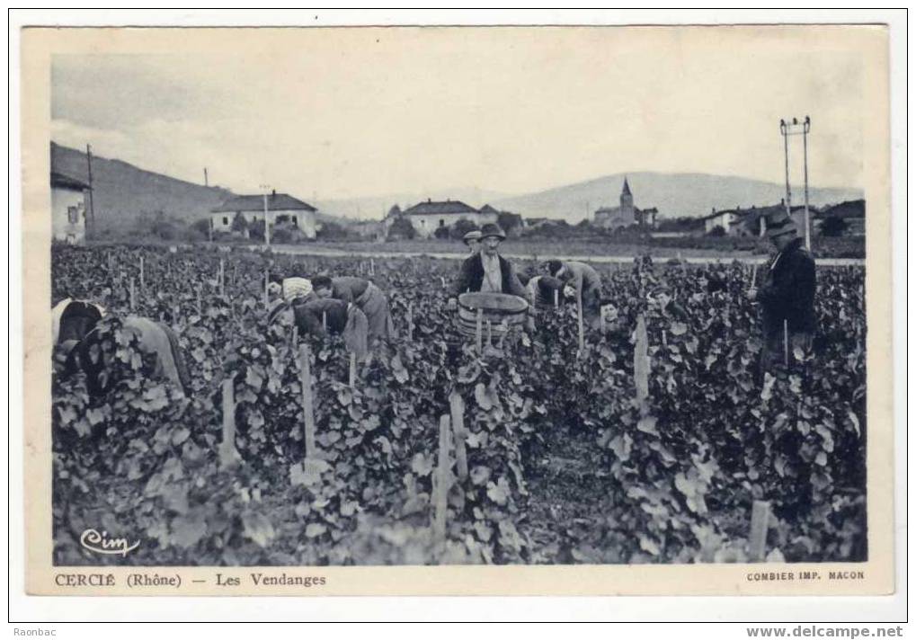 CPA--69---CERCIE---VENDANGES---VIN---VIGNES - Beaujeu