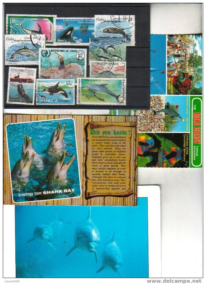3 X Carte De Dauphin - 3 Dolphin Postcard + Timbre - Stamp - BARGAIN UNDER COST ! - Delfines
