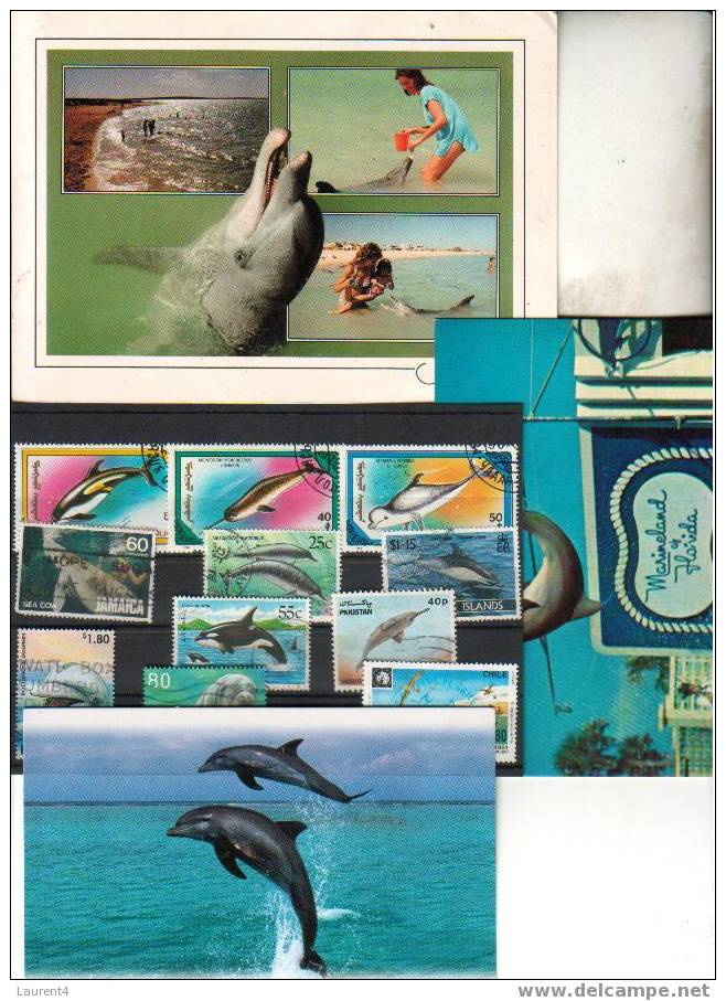 3 X Carte De Dauphin - 3 Dolphin Postcard + Timbre - Stamp -BARGAIN UNDER COST ! - Dauphins