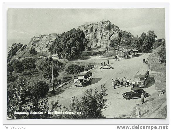 D 1770 - Burgruine Regenstein B. Blankenburg - Foto Ak Mit Vielen Alten Kfz - Blankenburg