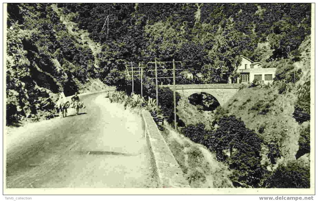 BLIDA - Les Gorges De La Chiffa - Route Des Gorges - Blida