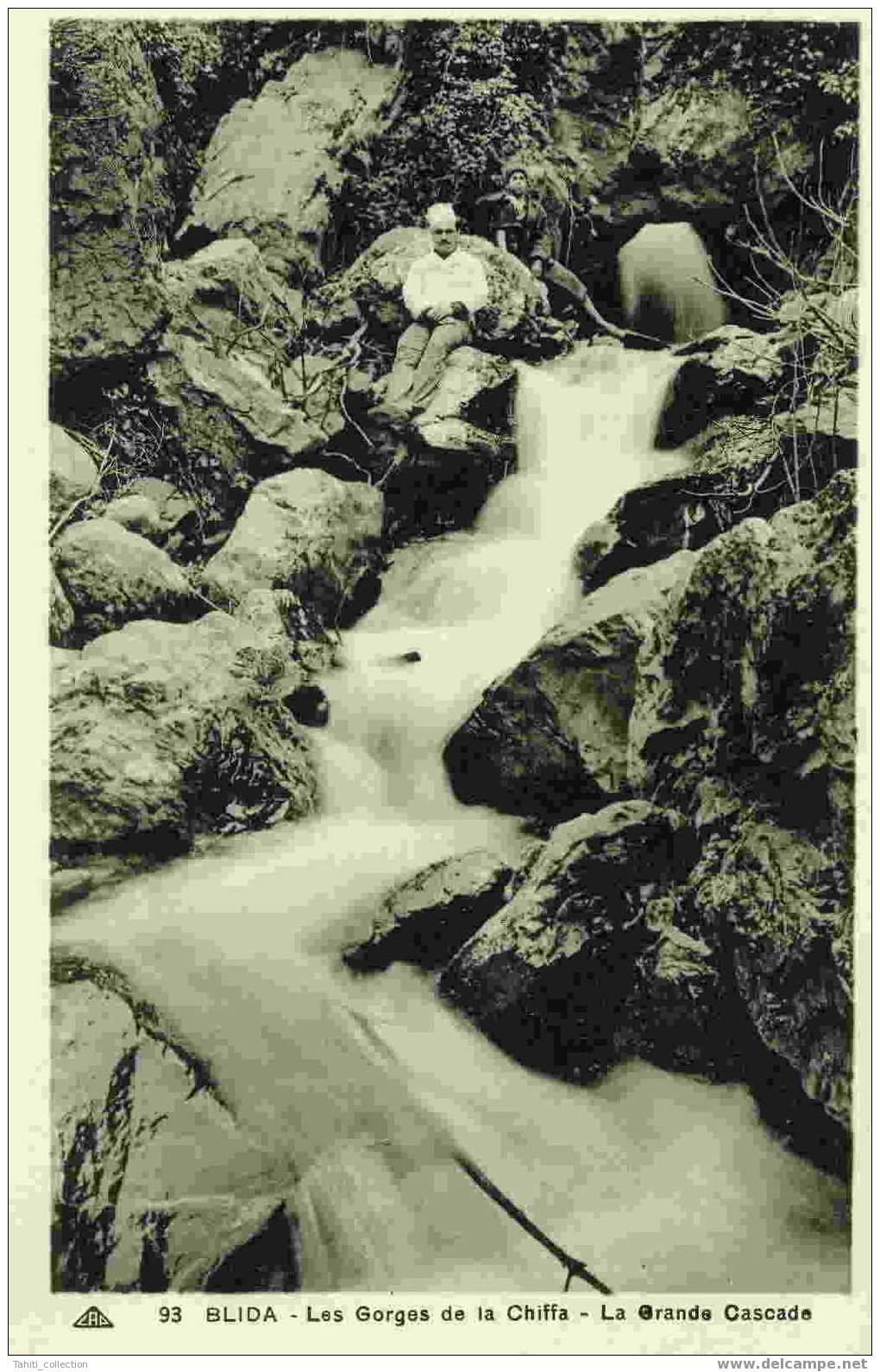 BLIDA - Les Gorges De La Chiffa - La Grande Cascade - Blida