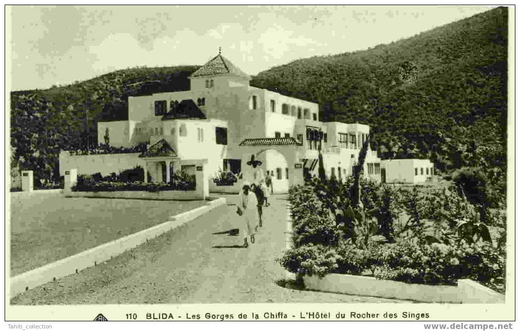 BLIDA - Les Gorges De La Chiffa - L'Hôtel Du Rocher Des Singes - Blida