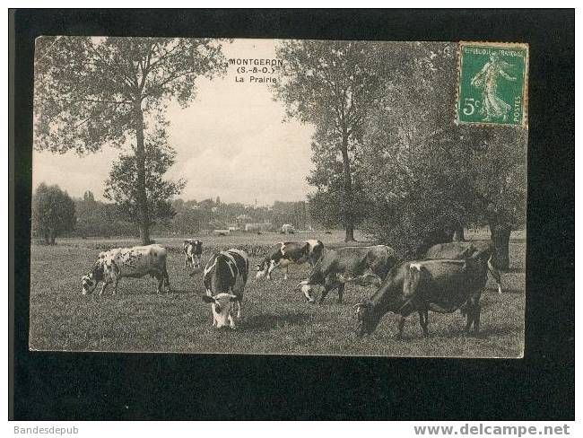 Montgeron - La Prairie ( Vaches Au Pré ) - Montgeron