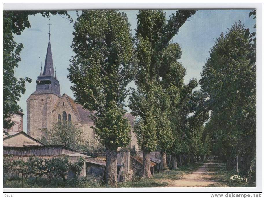 VILLENEUVE L'ARCHEVEQUE. - Villeneuve-l'Archevêque