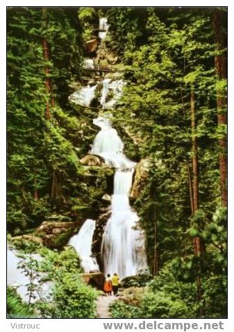 Triberg Im Schwarzwald 700-1000 M. - Deutschlands Grösste Wasserfälle 162 M Hoch - 7 Kaskaden - Nicht Gelaufen. - Triberg