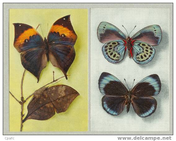 LOT 3 CPA SUR LES PAPILLONS - Schmetterlinge