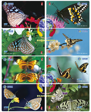 Butterfly 8pcs Puzzle JTCTT-05-05 BJ 200ex - Butterflies