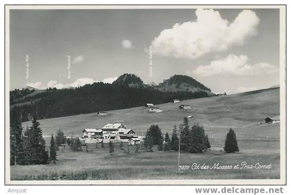 Canton De Vaud  Ormont-Dessus  Le Col Des Mosses Et Praz-Cornet - La Praz