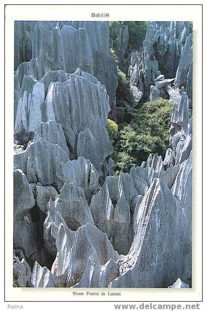 Chine : Entier Voyagé, Foret De Pierre, Erosion, Eau, Geologie, Dentelle De Pierre - Autres & Non Classés