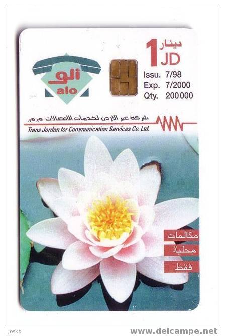 Jordanie - Flower - Fleur - Flowers - Fleurs - Nenuphar - White Lilly - Friends Of Environment Society - Jordan Card - Jordanië