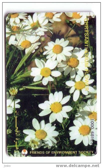 Jordanie - Flower - Fleur - Flowers - Fleurs - Nenuphar - White Lilly - Friends Of Environment Society - Jordan Card - Jordanië