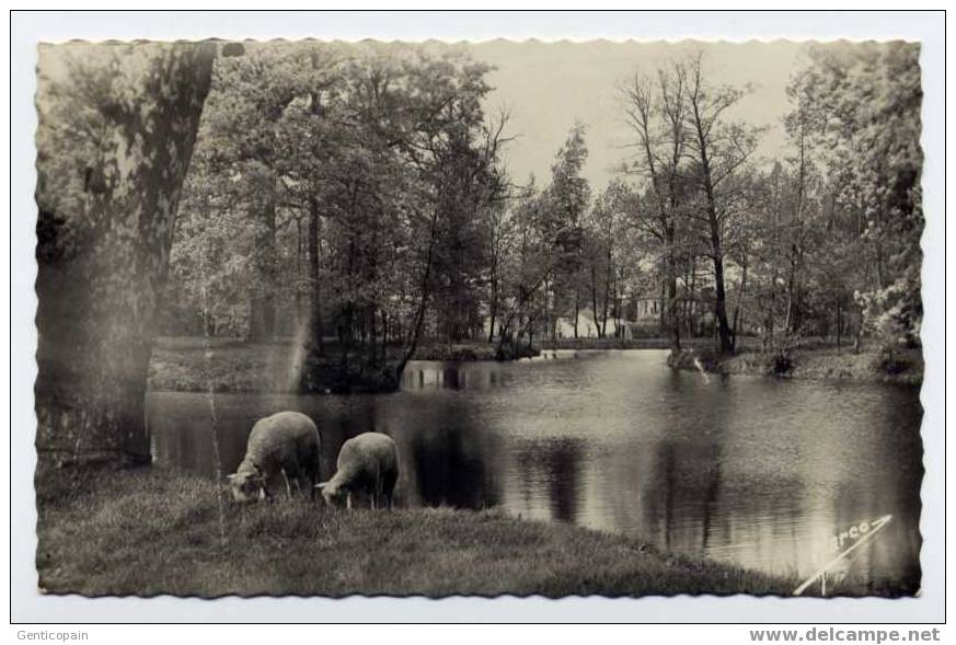 G7  - MONTFERMEIL GAGNY - Les Sept Îles - Un Coin Charmant (1953) - Montfermeil